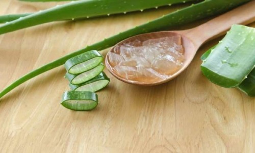 We love Aloe Vera