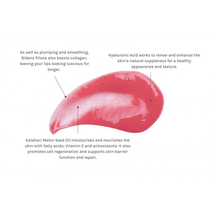 Bio Retinol Glossy Lip Oil 15ml Bio Retinol Glossy Lip Oil 15ml