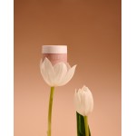 MIELĒV Eye Wonder Cream Le Petale 15ml MIELĒV Eye Wonder Cream Le Petale 15ml